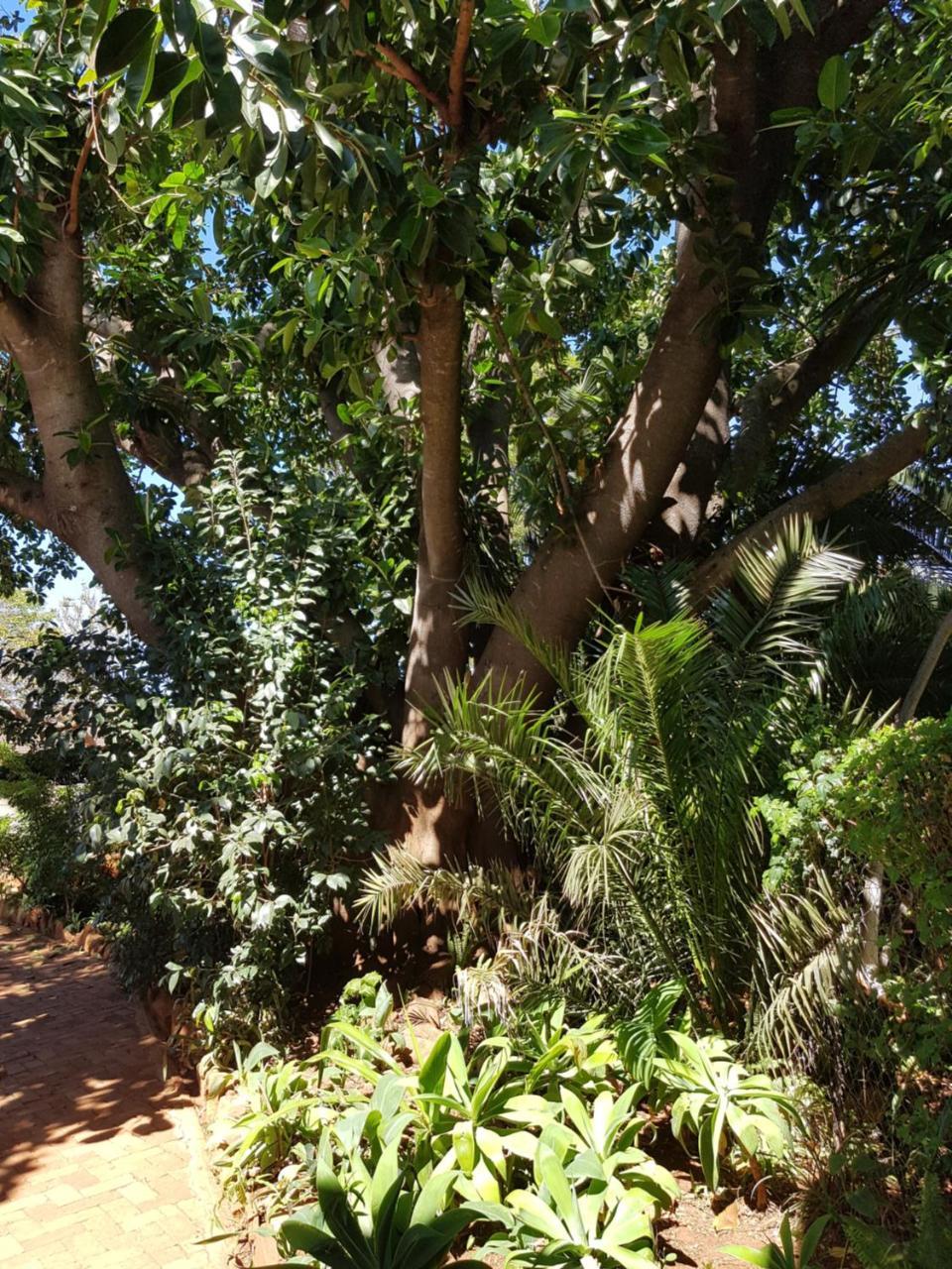 Burnham Road Suite Guest House Bulawayo Exterior foto